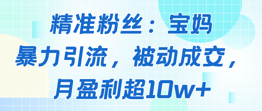 精准粉丝：宝妈暴力引流方法，被动成交，月盈利超1w+-亮剑学堂
