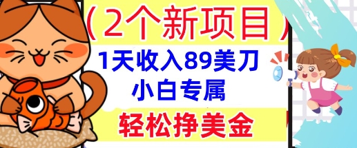 2个新项目，轻松挣美金， 1天收入89美刀，小白专属，干货分享-亮剑学堂