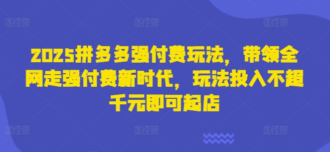 2025拼多多强付费玩法，带领全网走强付费新时代，玩法投入不超千元即可起店-亮剑学堂